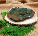 Patera ceramiczna / Nr artykułu: C-14/12/25/Ł