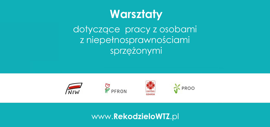 Warsztaty dotyczące pracy z osobami z niepełnosprawnościami sprzężonymi